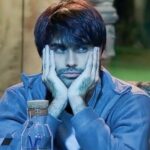 Vivian Dsena है करोड़ों के मालिक, Bigg Boss के लिए चार्ज की इतनी फीस