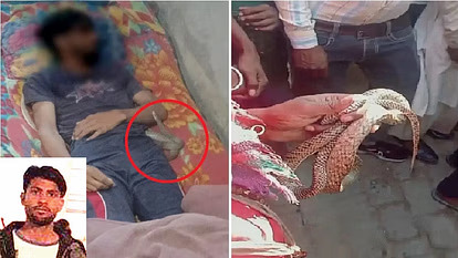 मेरठ: गला दबाकर पति की हत्या, फिर सांप से किया हादसे का नाटक, खुली साजिश की परतें