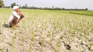 मोहनलालगंज तहसील में न्याय के लिए भटक रहे किसान, बढ़ा आक्रोश