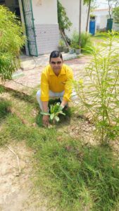 कभी वीरान था विद्यालय परिसर, आज 80 पेड़ों से महक रहा हरियाली का संसार