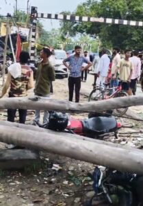 मोहनलालगंज: तहसील के पास अचानक गिरा विशाल पेड़, बाइक सवार दबकर घायल