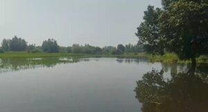 सई नदी का जलस्तर बढ़ने से खेतों में घुसा पानी, सैकड़ों बीघे धान की फसल प्रभावित
