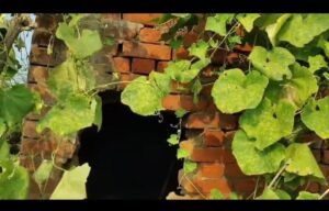 लगातार दूसरे साल अक्टूबर में ई-रिक्शा एजेंसी में चोरी, दीवार में सेंध लगाकर चार लाख का सामान पार